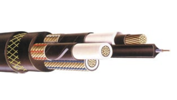 Cable Structure Diagram